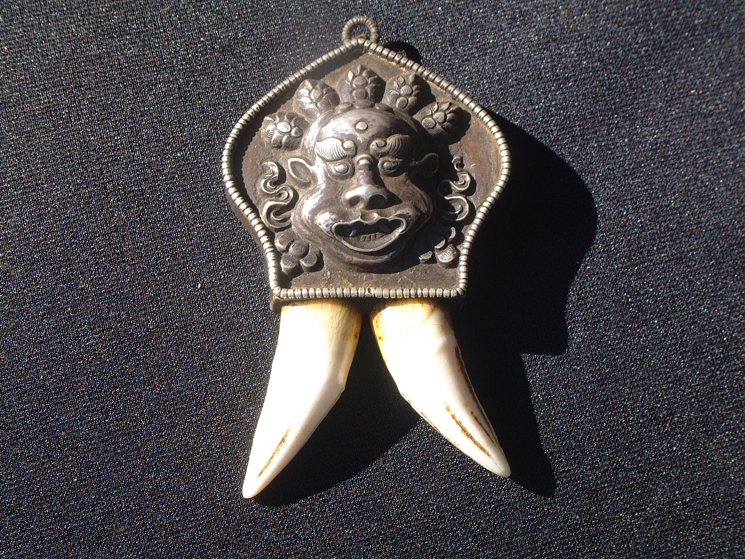 dscf0227.jpg